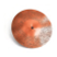 20051.png COOPER SANDING DISC 36 GRIT COARSE